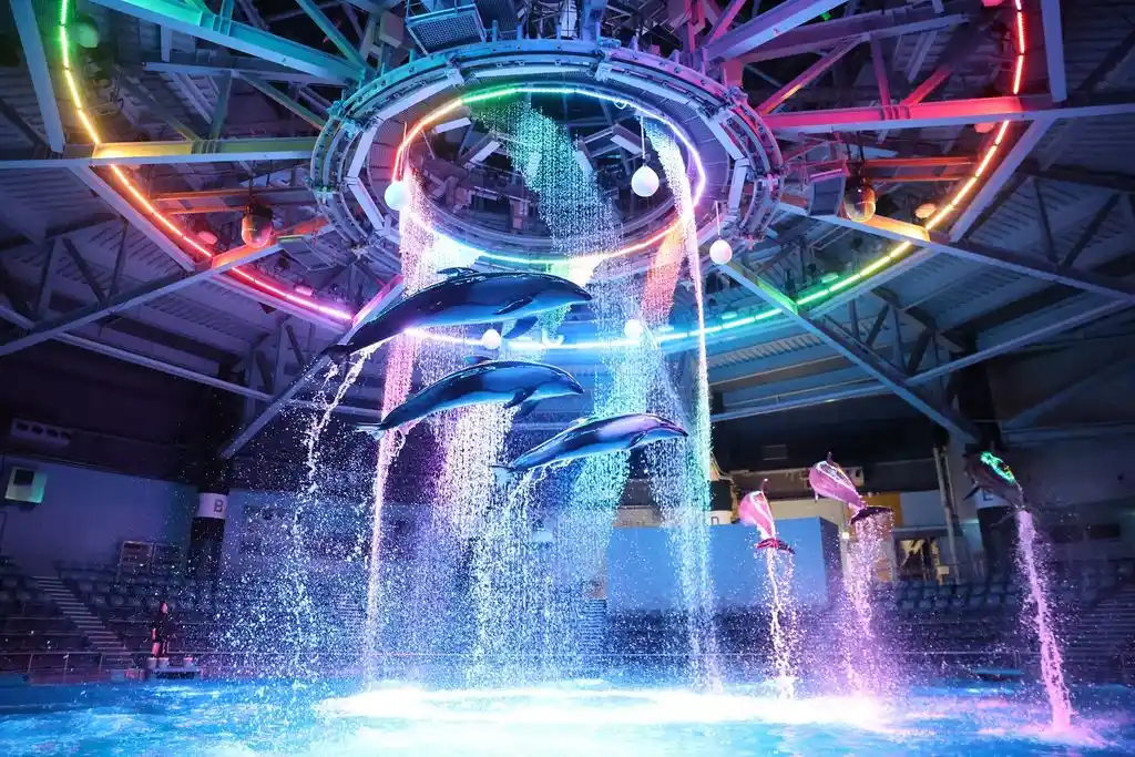 도쿄 수족관 (東京の水族館)