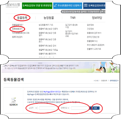 동물보호관리시스템 등록동물 검색 방법 이미지