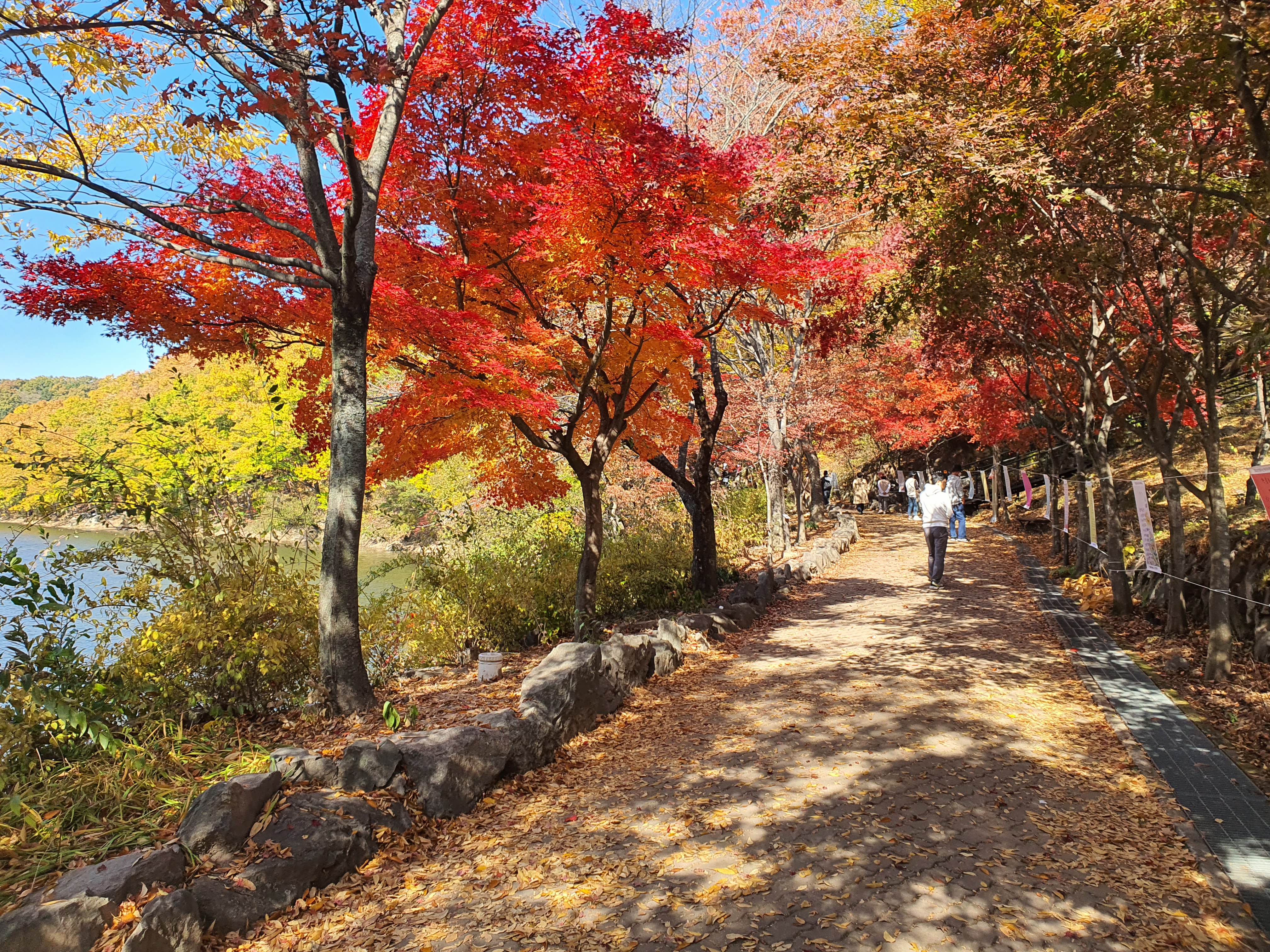 입곡군립공원-단풍-산책길-사진