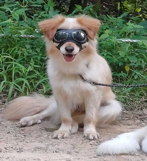 분성산생태숲생태체험관