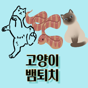 고양이뱀퇴치