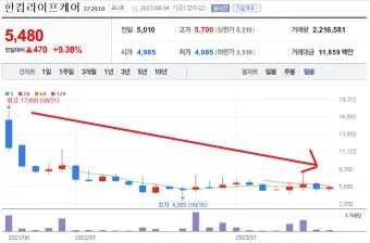 호신용품 대장주 관련주 TOP5 총정리_8