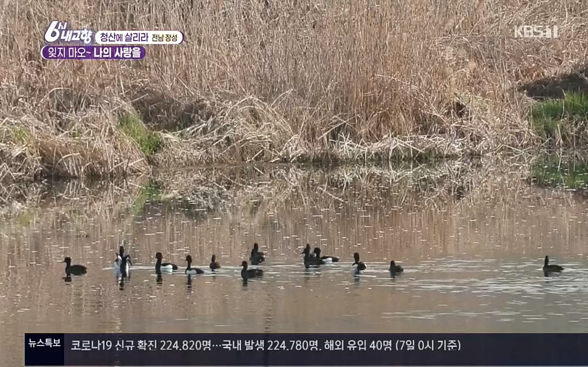 6시 내고향.E7506.220408p.H264-F1RST.mp4_20220412_183253.839.jpg