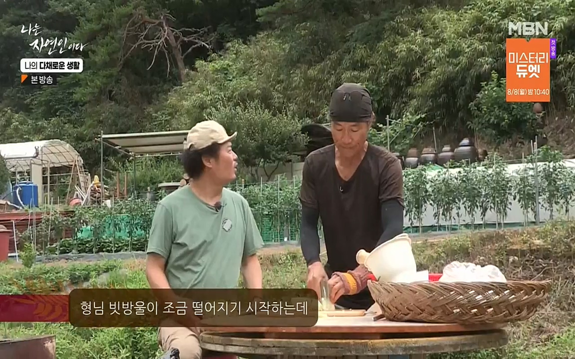 나는 자연인이다.E513.220804p-NEXT.mp4_20220804_202014.744.jpg