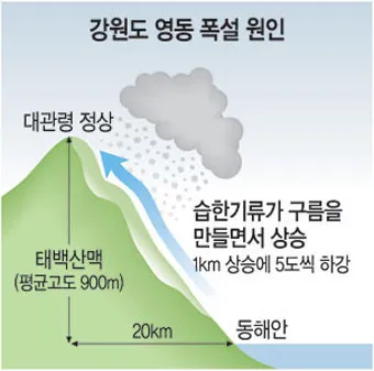 조정래 작가의 태백산맥 1986 책 소개_15