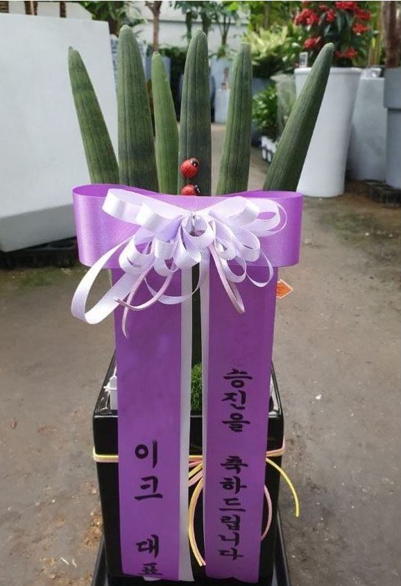 김해복음병원장례식장 이미지