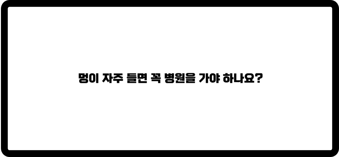 이유없이 멍드는이유