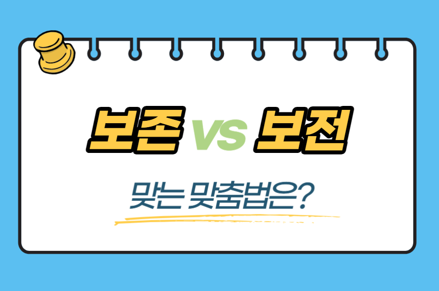 보존 VS 보전