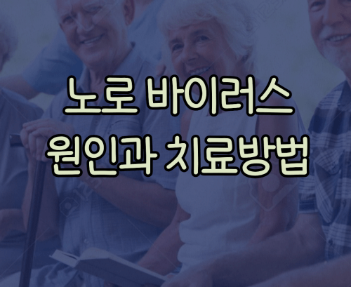 노로바이러스 원인과 치료방법