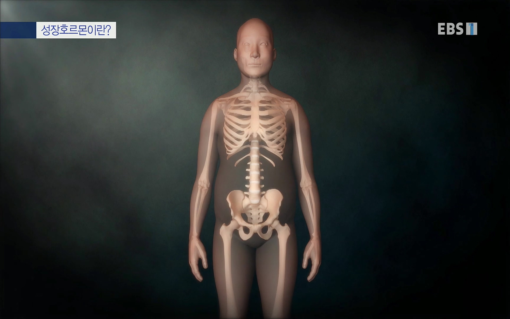 EBS 명의 헬스케어 - TV - 교육의 중심 EBS내 몸을 지배하는 7가지 호르몬 2부, 증상을 의심하자!.mp4_20220711_200202.010.jpg