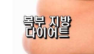  복부 지방 다이어트 후기