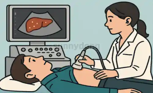 간암 초기증상 의심 시 필요한 초음파 검사 이미지