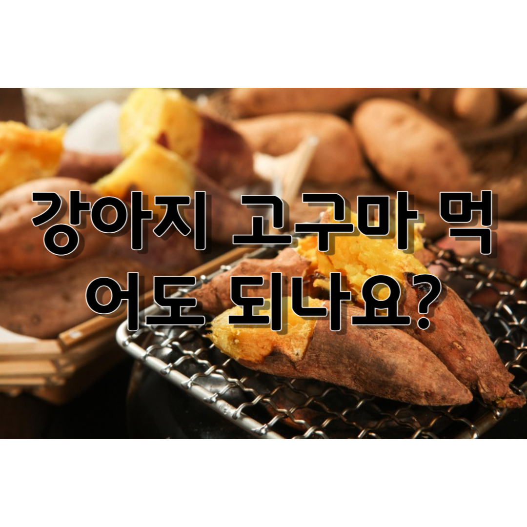 석쇠위에 군고구마가 올려져 있고 &quot;강아지 고구마 먹어도 된요?&quot; 라고 적혀있다.