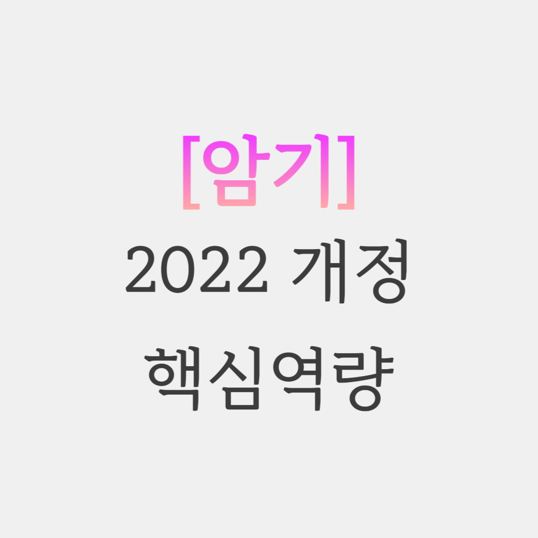  2022 개정 교육과정 역량 청킹 스제트