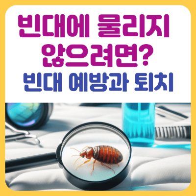 빈대에-물리리-않으려면-빈대-예방과-퇴치-대표이미지