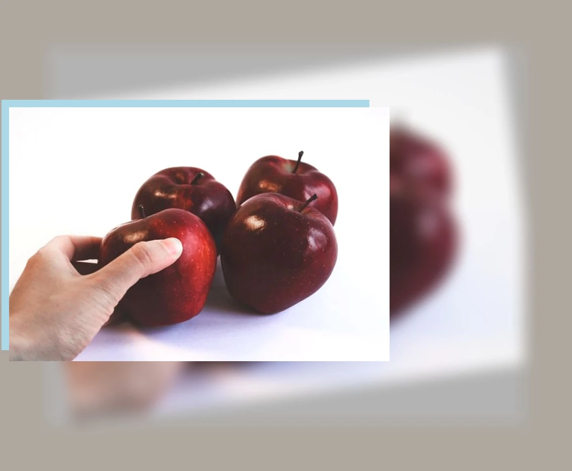 건강한 다이어트_2_subsection