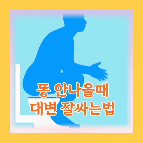 똥 안나올 때 대변 잘싸는 방법 자세