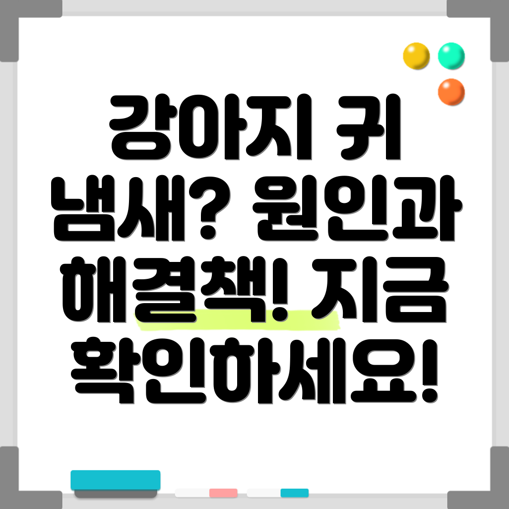 강아지 귀 냄새