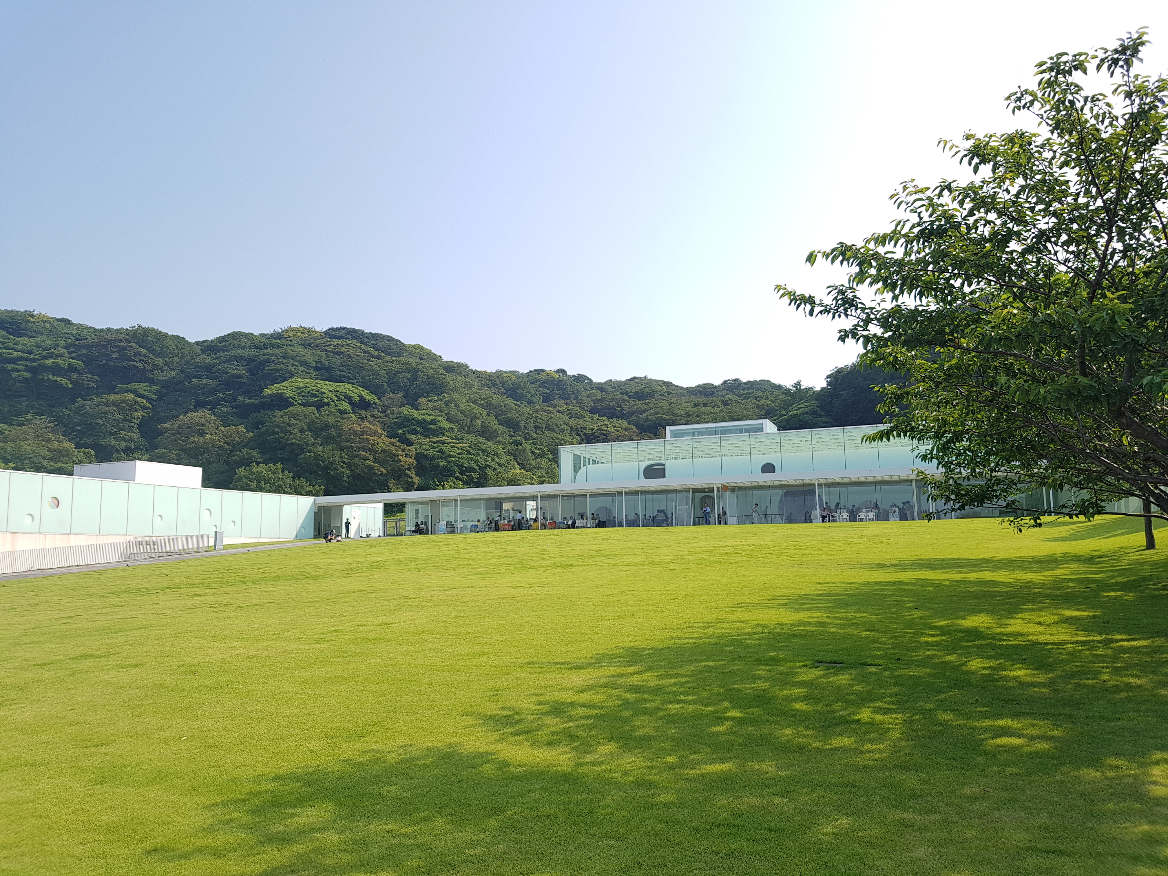  [온천로드] 도쿄인근 요코스카 당일치기 추천 여행지