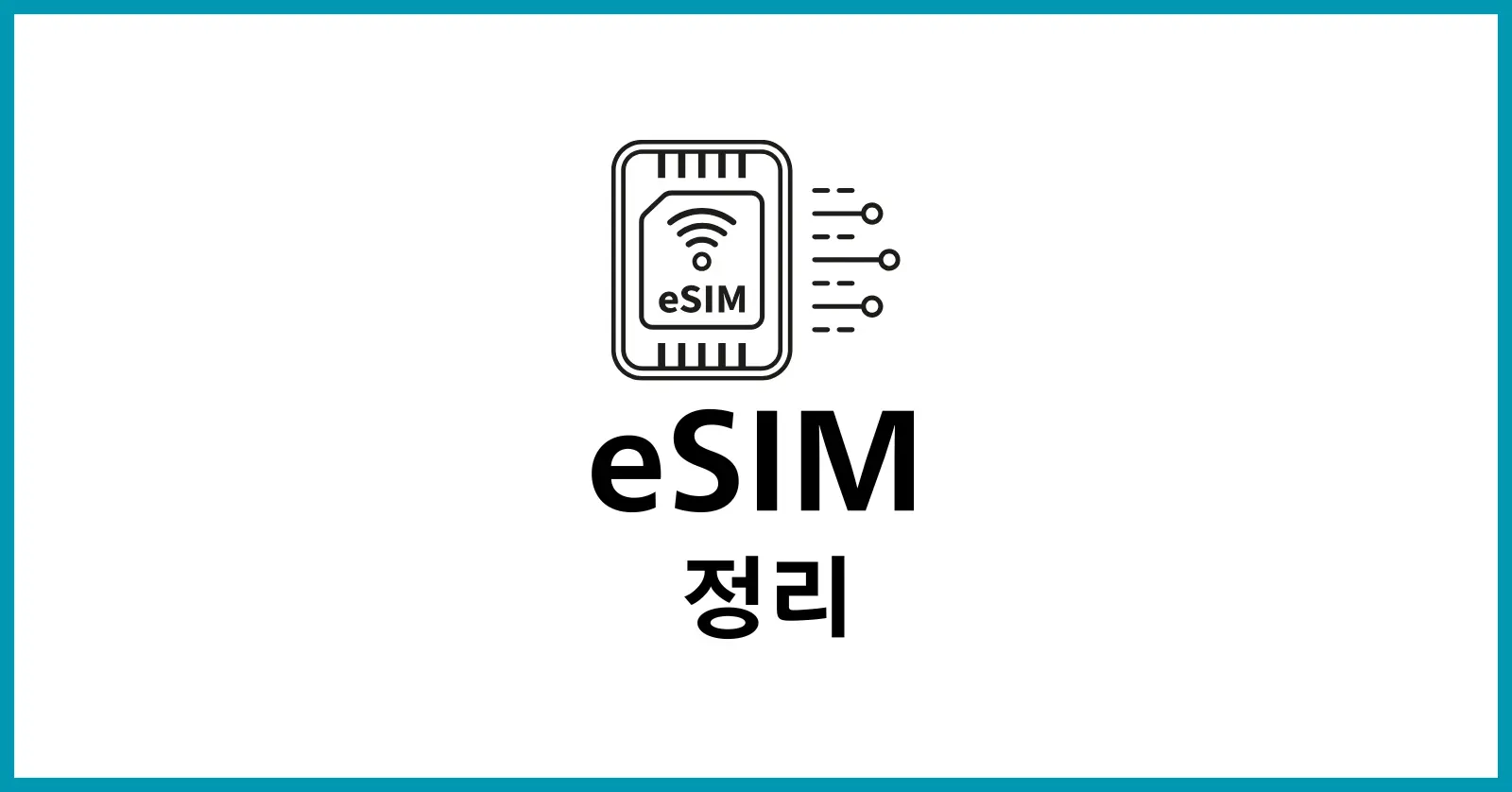eSIM 이란