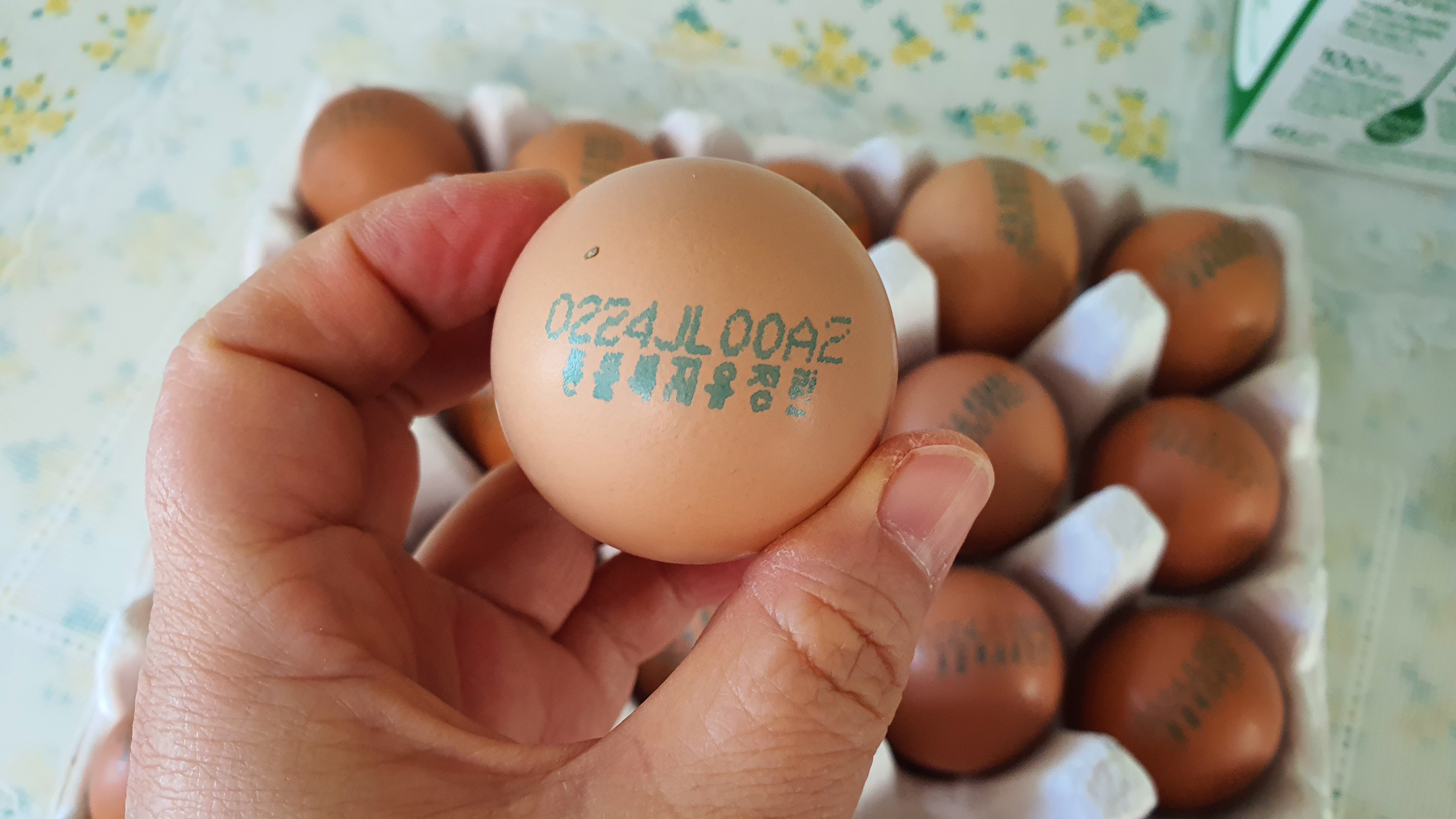 계란에 표시된 정보 산란일자/농가/사육환경