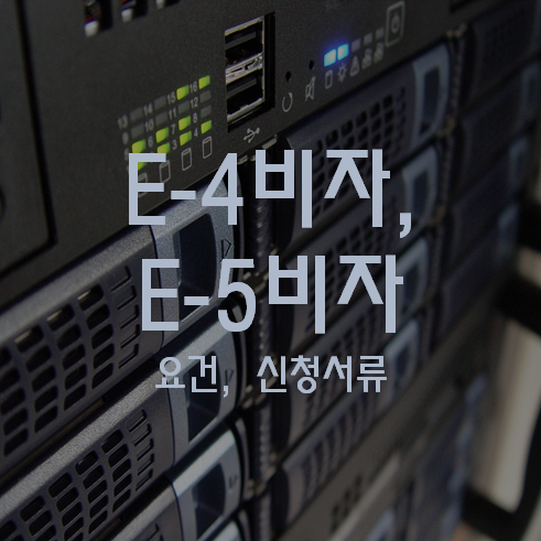 E4비자, E5 비자