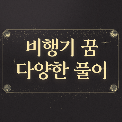  비행기 타는꿈 비행기꿈 다양한 해몽풀이