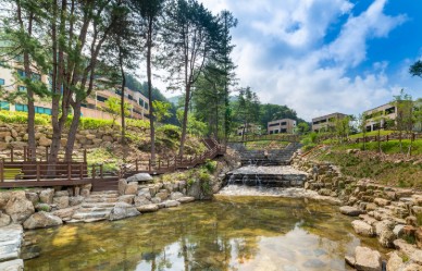 동두천 자연 휴양림 예약 꿀팁 총정리 – 숲나들e로 똑똑하게 즐기기