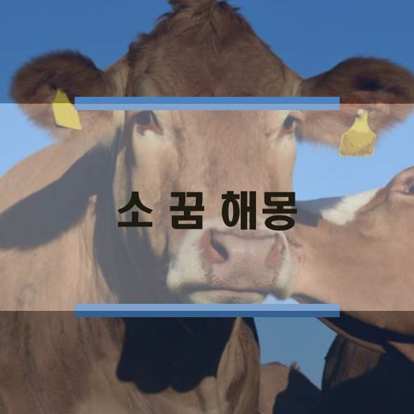  황소 꿈, 태몽, 소 꿈 해몽