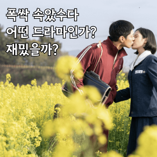 폭싹 속았수다, 어떤 드라마인가? 재밌을까?