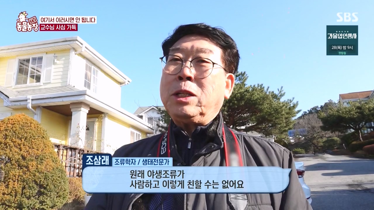 TV 동물농장.E1150.231218p-NEXT.mp4_20231217_171356.967.jpg