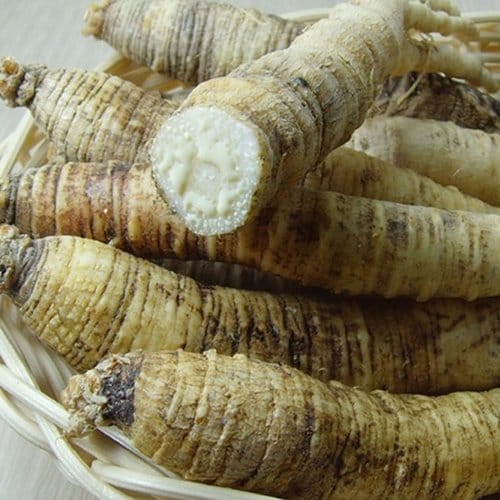 정선 더덕농원 이미지