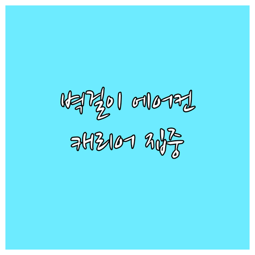 인버터 벽걸이 에어컨 구매 가이드 캐