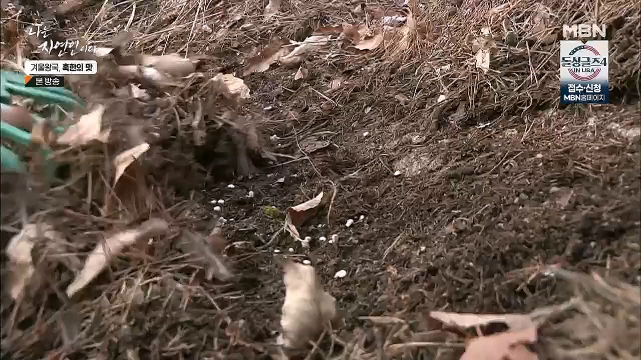 나는 자연인이다.E536.230112p.H264-F1RST.mp4_20230112_193511.946.jpg