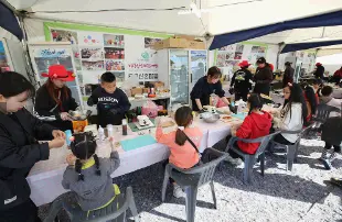 청춘양구펀치볼시래기사과축제