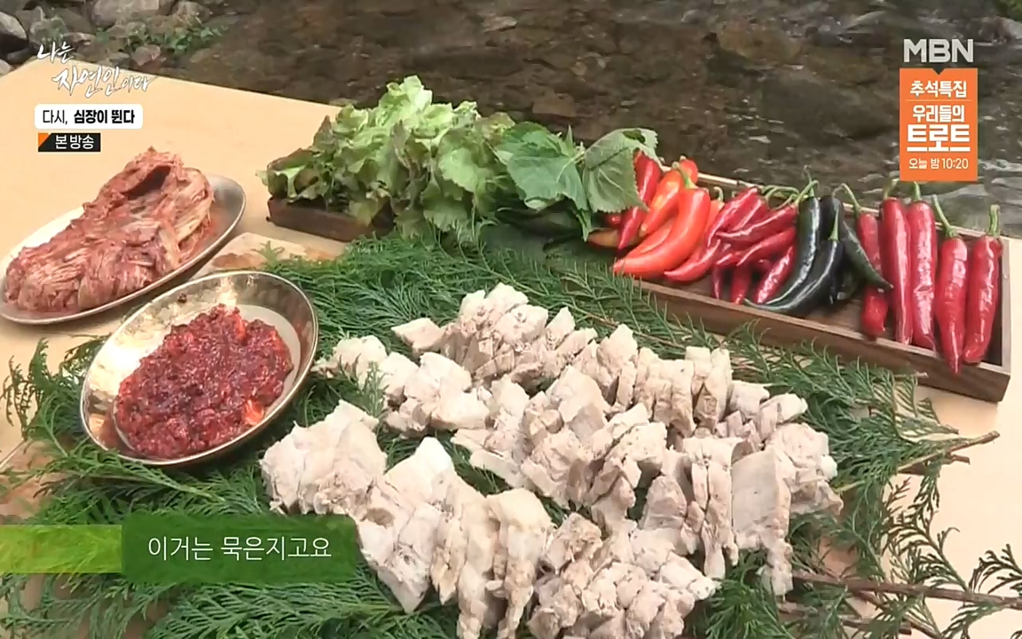 나는 자연인이다.E519.220915p-NEXT.mp4_20220915_201140.449.jpg