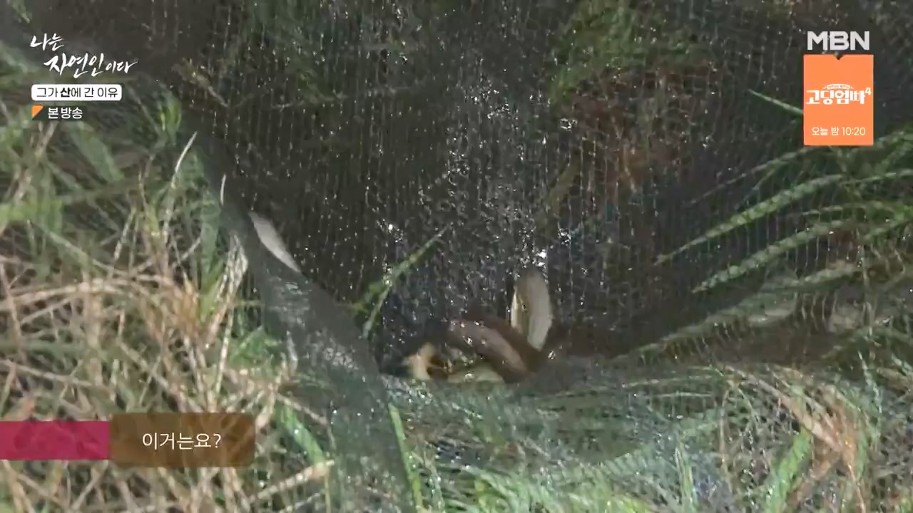 나는 자연인이다.E575.231012p-NEXT.mp4_20231012_201006.964.jpg