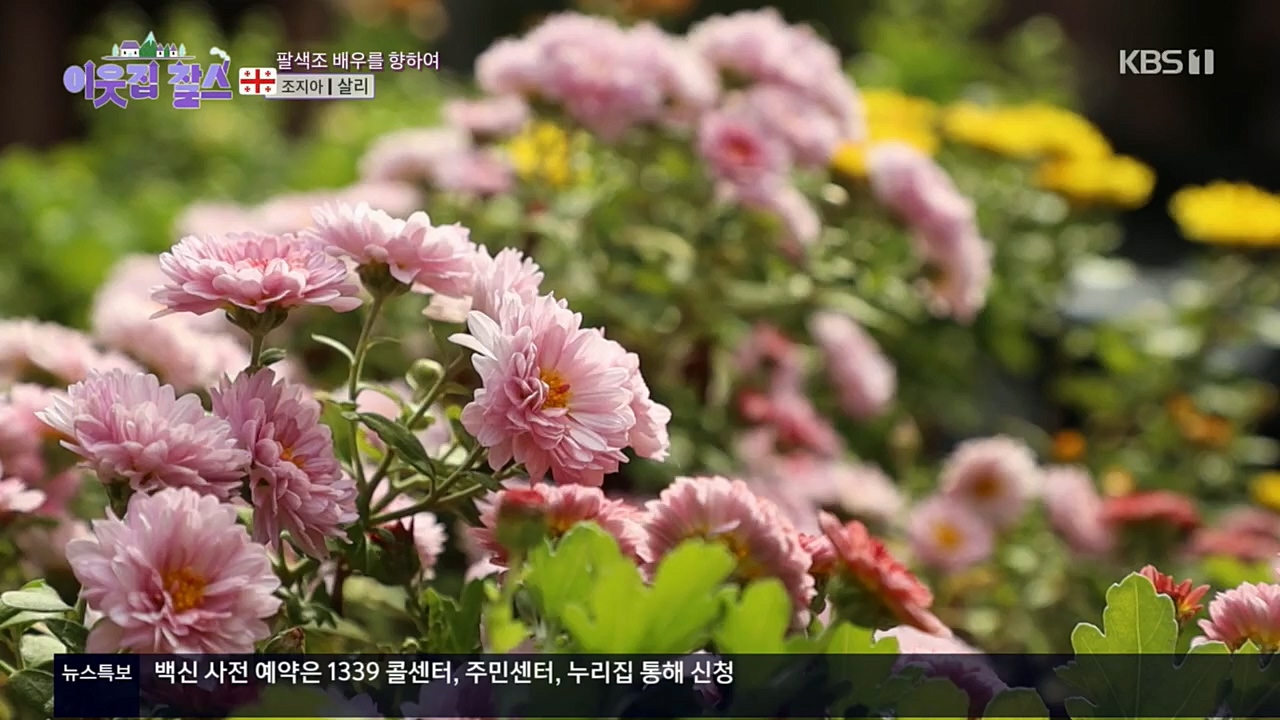 이웃집 찰스.E364.221130p.H264-F1RST.mp4_20221130_204922.367.jpg