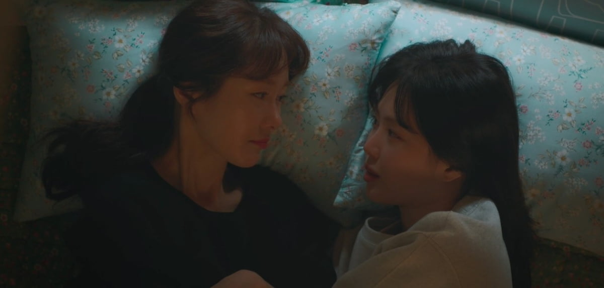 가족멜로 가족x멜로