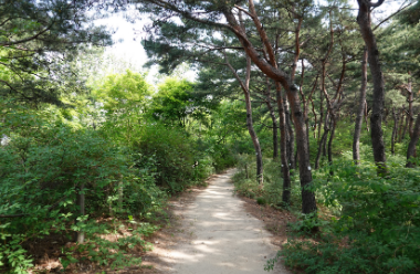  여름나기 서울의 공원 명소 베스트 10