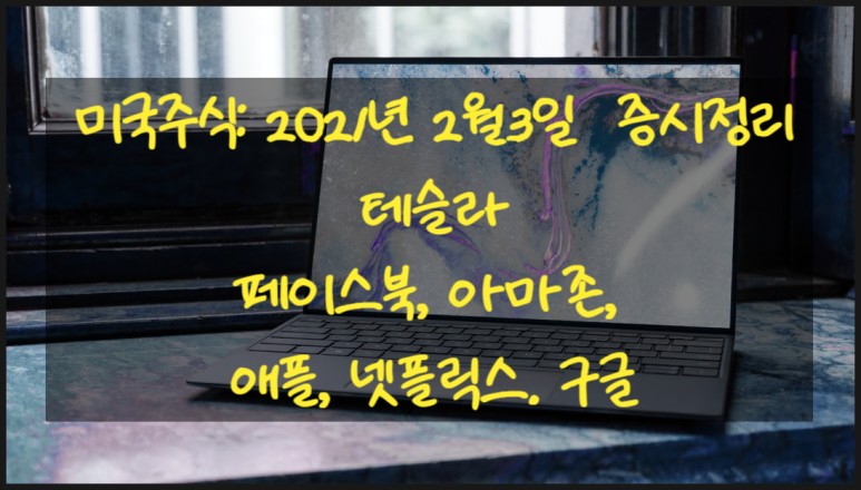  미국 주식:2021년 2월3일 주식장 소식. 테슬라(TESLA),FAANG(페이스북, 아마존, 애플, 넷플릭스, 구글) 주식.