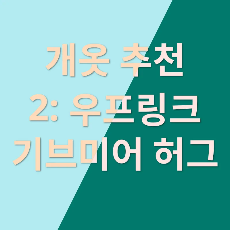개옷추천_2