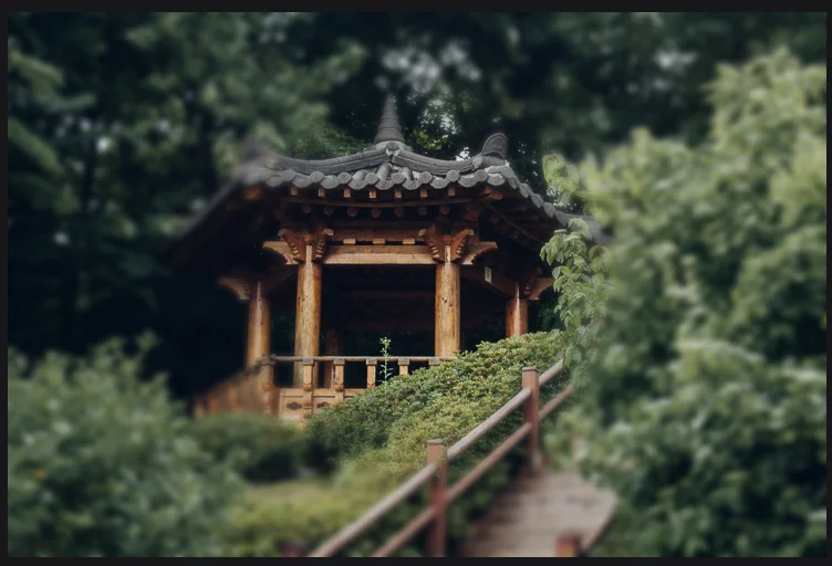 픽슬러 에디터로 사진 편집하는 모습 포커스 보케 툴을 활용하는 모습