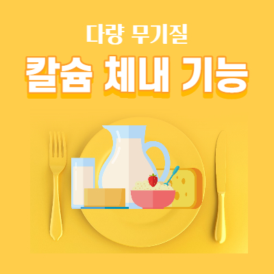 다량 무기질 칼슘 체내 기능