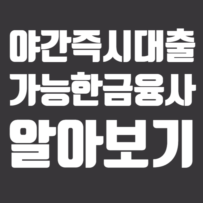 야간즉시대출