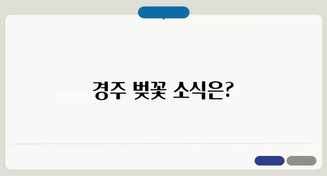 경주 벚꽃 개화시기 & 벚꽃 축제 일정 총정리