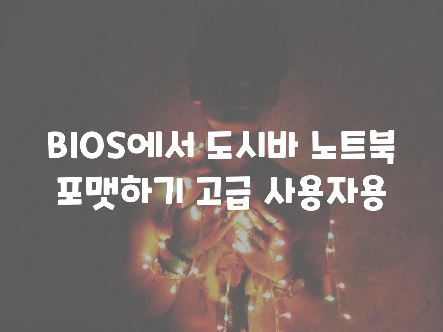 BIOS에서 도시바 노트북 포맷하기 고급 사용자용