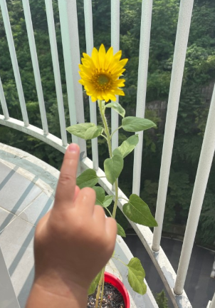  행복을 찾아서~