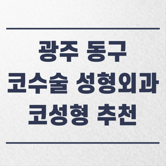 광주 동구 코수술 성형외과 추천 코성형 잘하는 곳 가격 비용 금액 후기.png