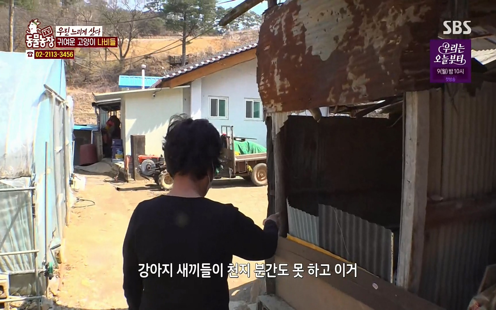 TV 동물농장.E1067.220501p.H264-F1RST.mp4_20220501_183858.575.jpg